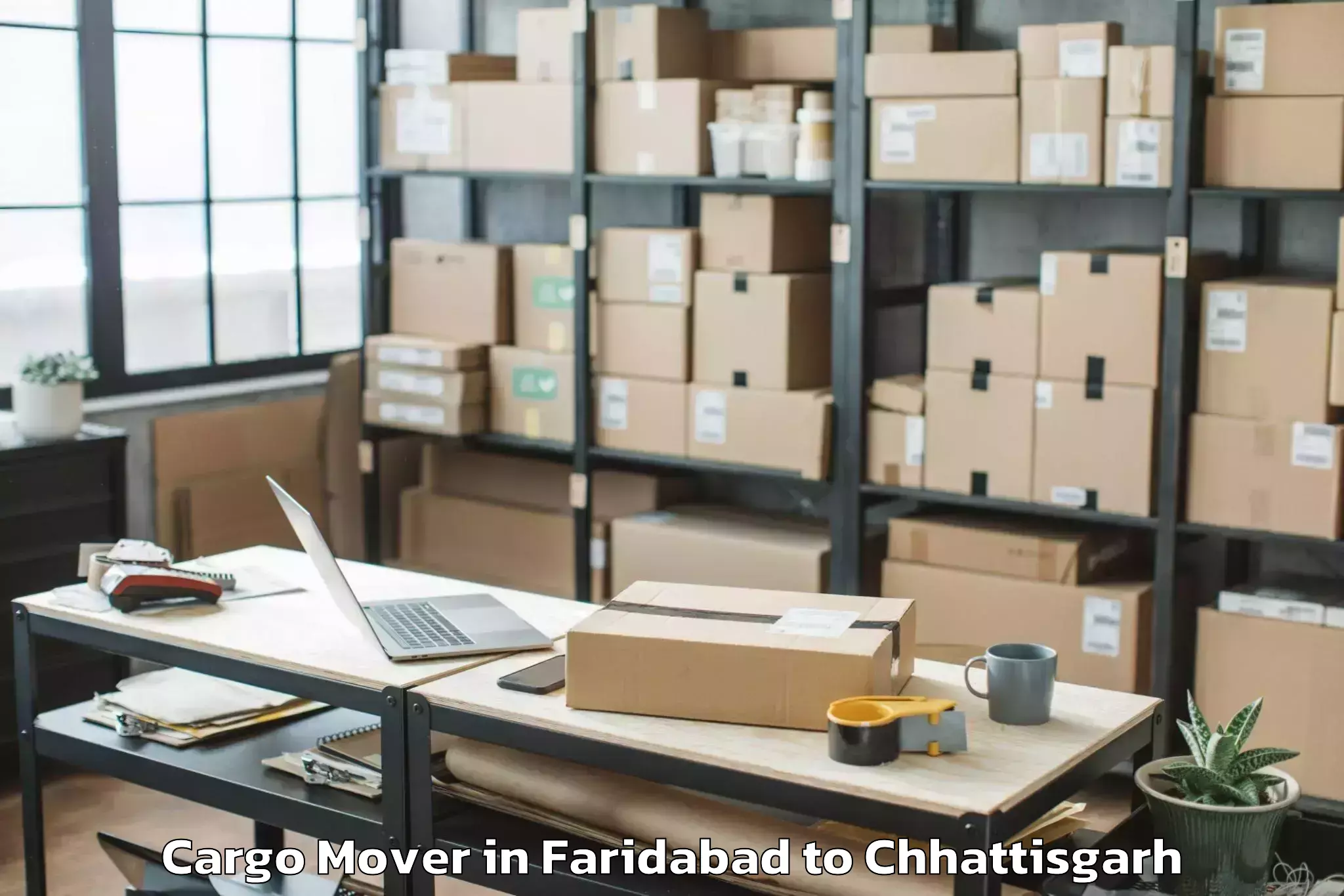 Book Faridabad to Gunderdehi Cargo Mover